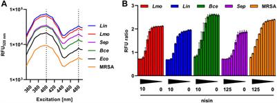 High-throughput detection of potential bacteriocin producers in a large strain library using live fluorescent biosensors
